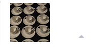 Corporate Events