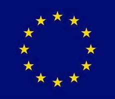 euroflag